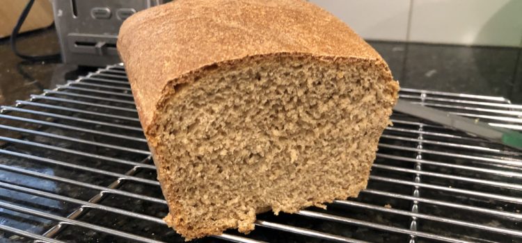 Whole Wheat Sourdough Bread