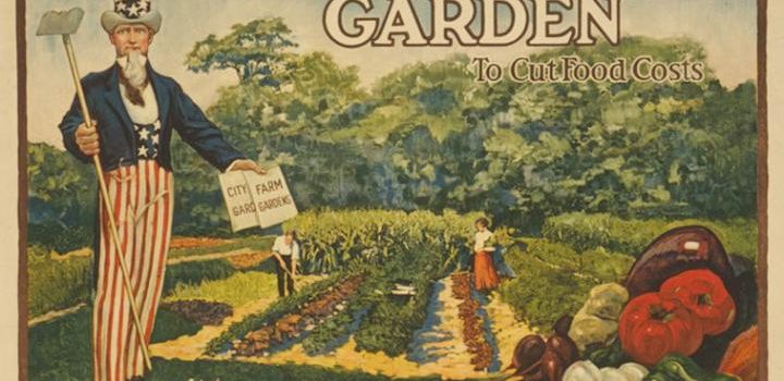What Are Victory Gardens