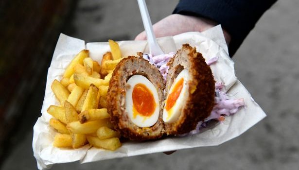 What is a Scotch Egg